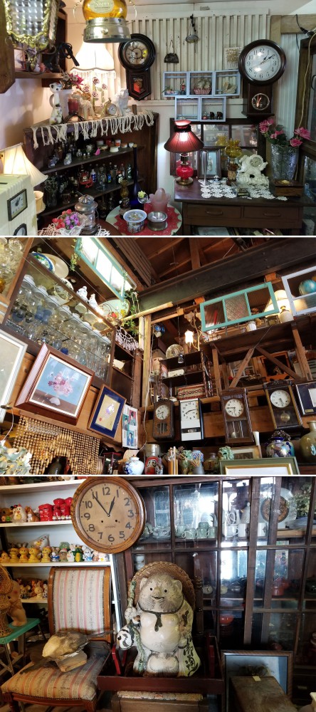 時空を超えた骨董品たち！帯広市のアンティークショップ『グリーン商会