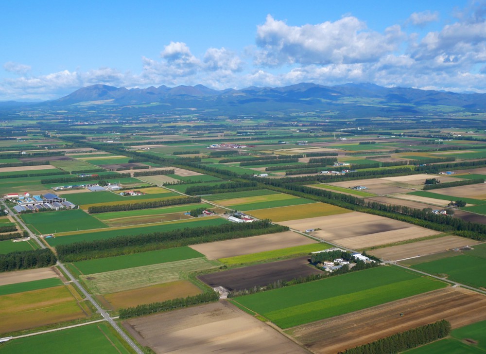 十勝を代表するパッチワーク畑の空撮写真。その撮影場所を調べ始めて後悔した話。 | 【公式】トカチニッチ